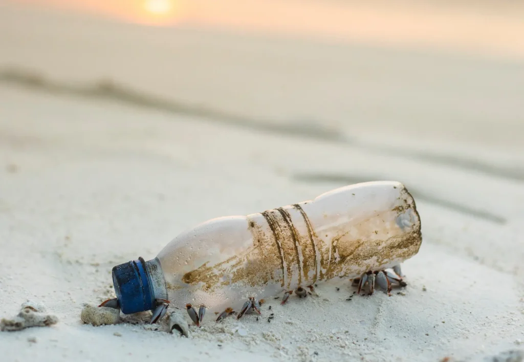 Florida Campaign for #PlasticFreeCities Begins in Miami
