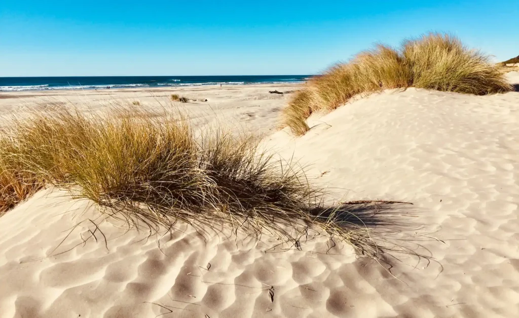 A beach with blue sky and sand