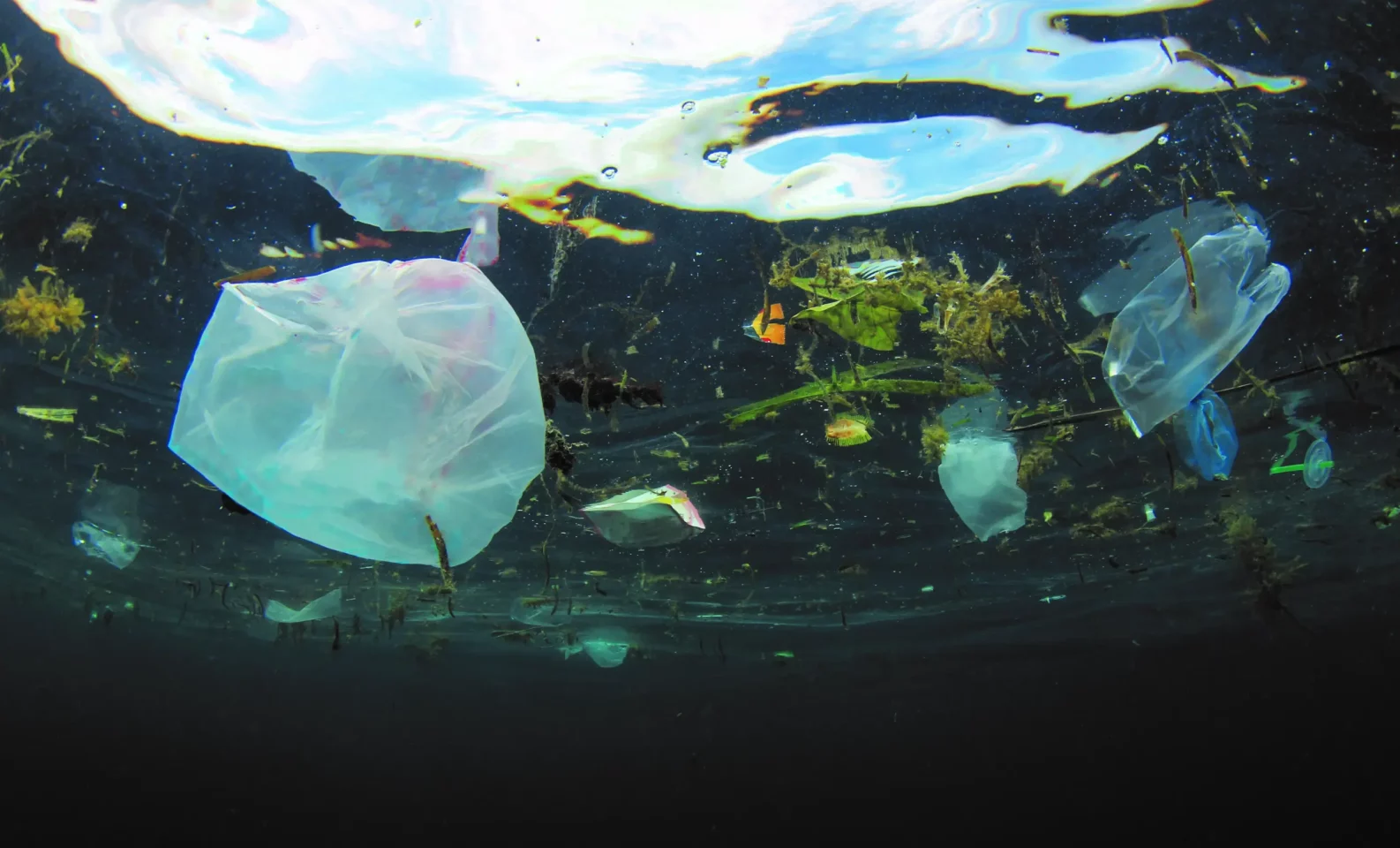 Bits of plastic floating under water