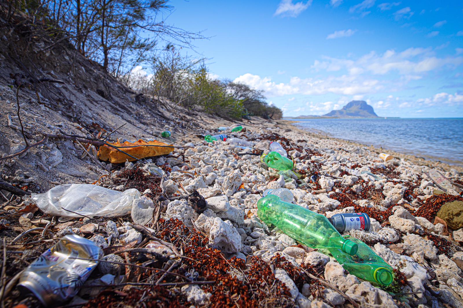 Confronting Ocean Plastic Pollution