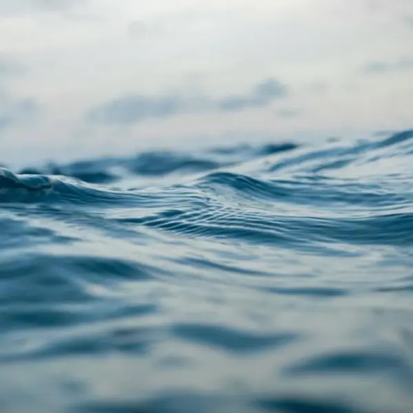 OceanImageBank_NicoMarin_12 (1)
