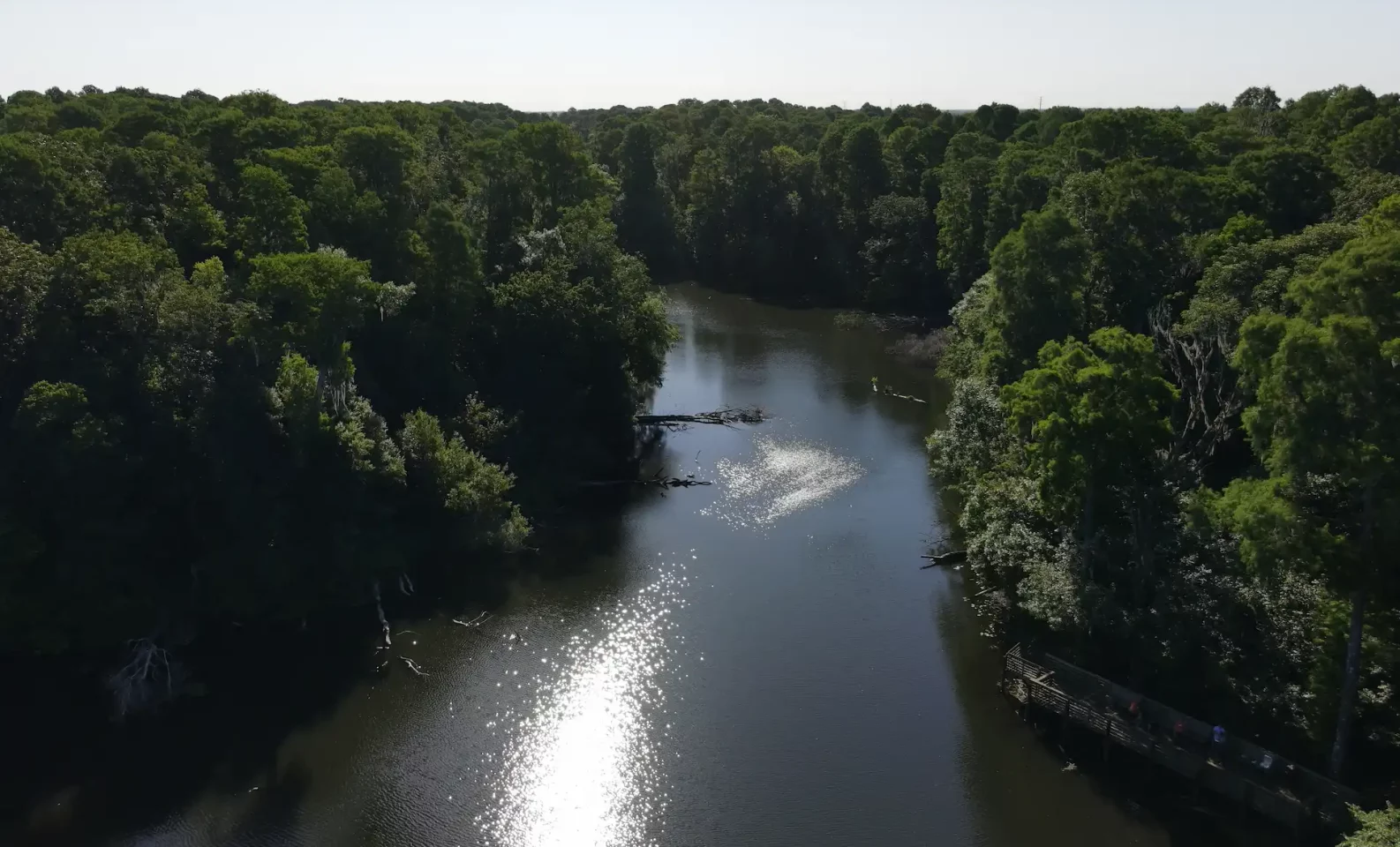 Tampa waterway Nutrient fingerprinting