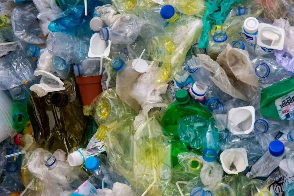 Improved Working Conditions for Recyclers Also Benefit Ocean Health