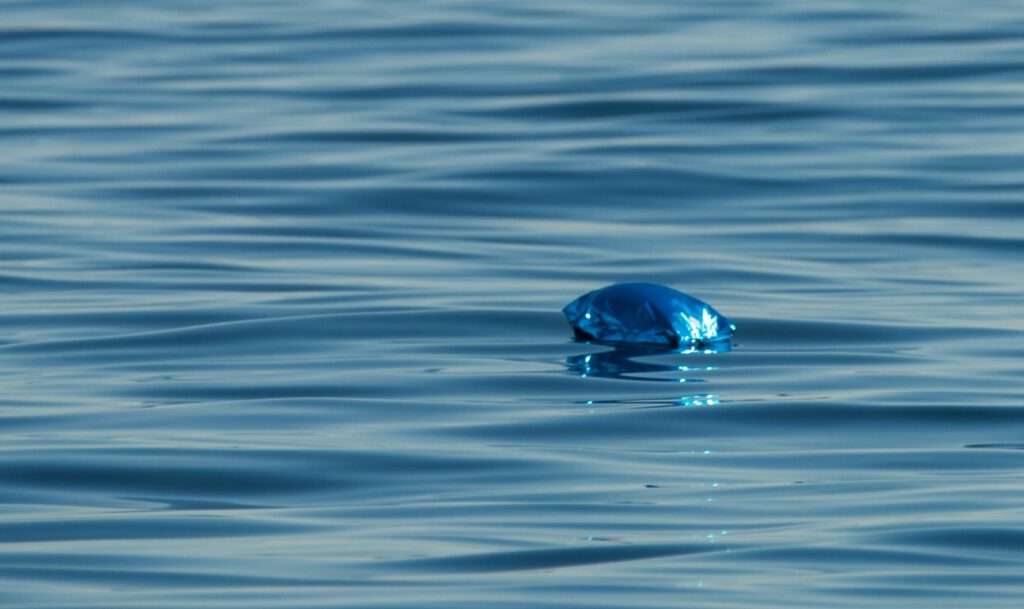 Plastic balloon floating in the ocean.
