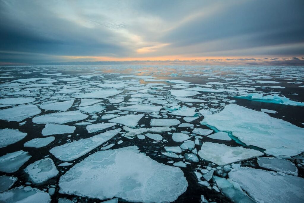 ICY Habitat