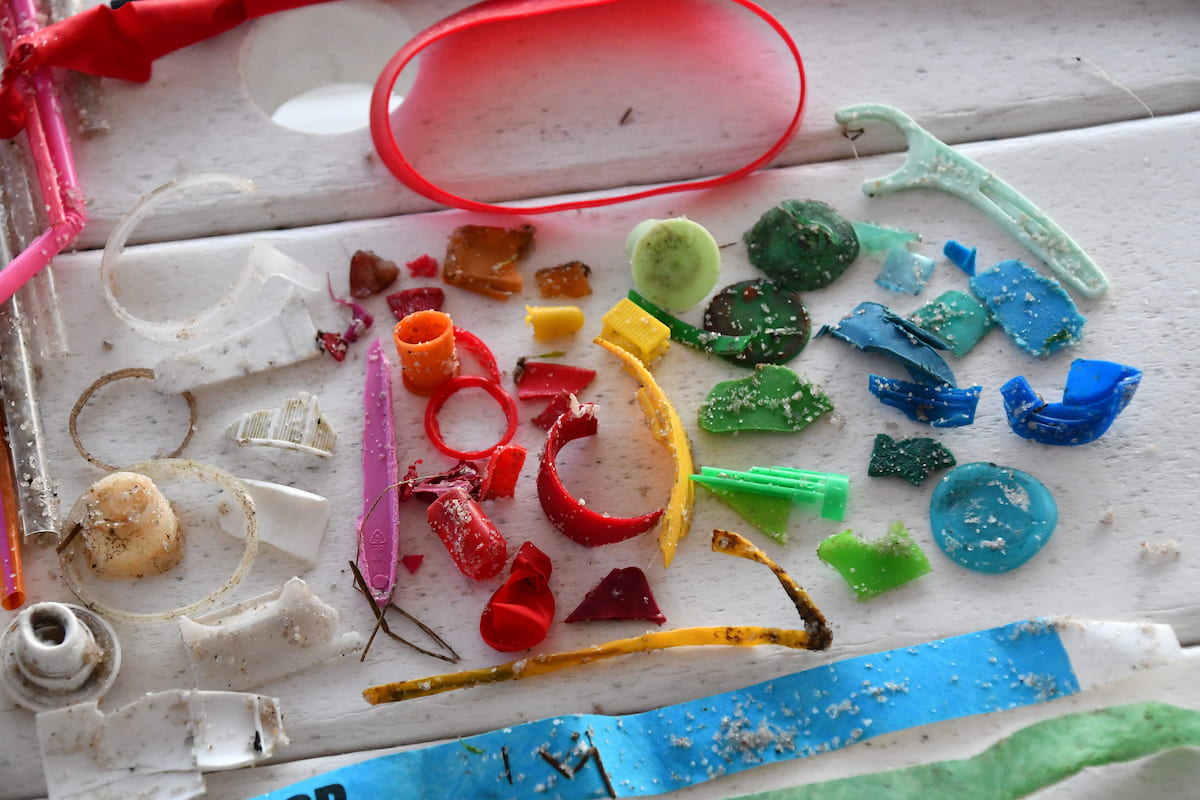 How States are Leading the Charge in Combating Ocean Plastic Pollution ...