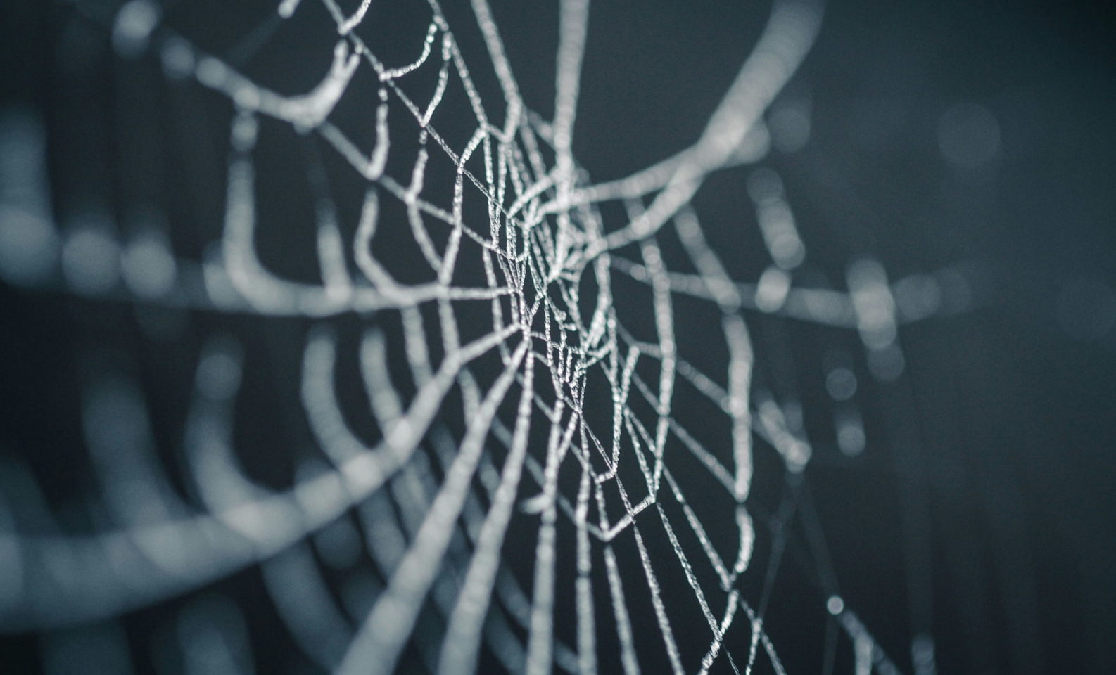 Spider web Halloween