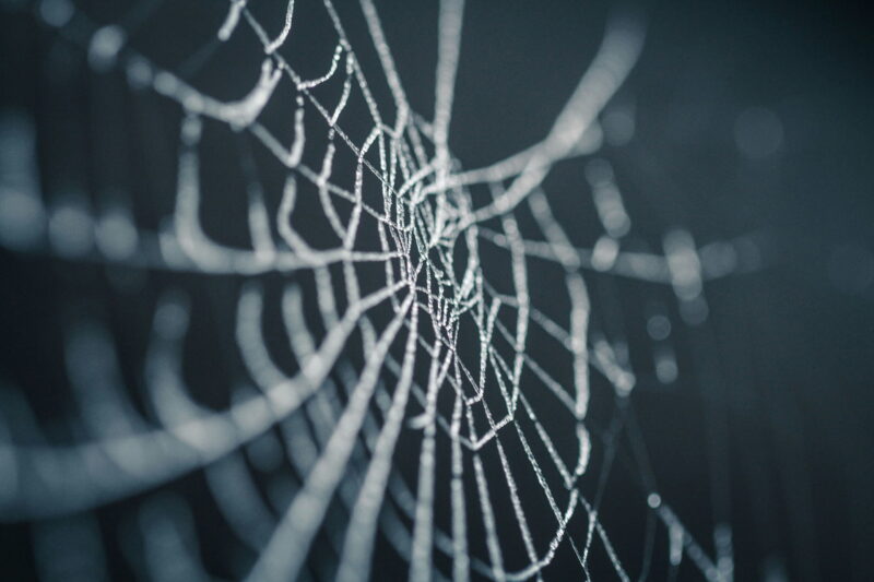 Spider web Halloween
