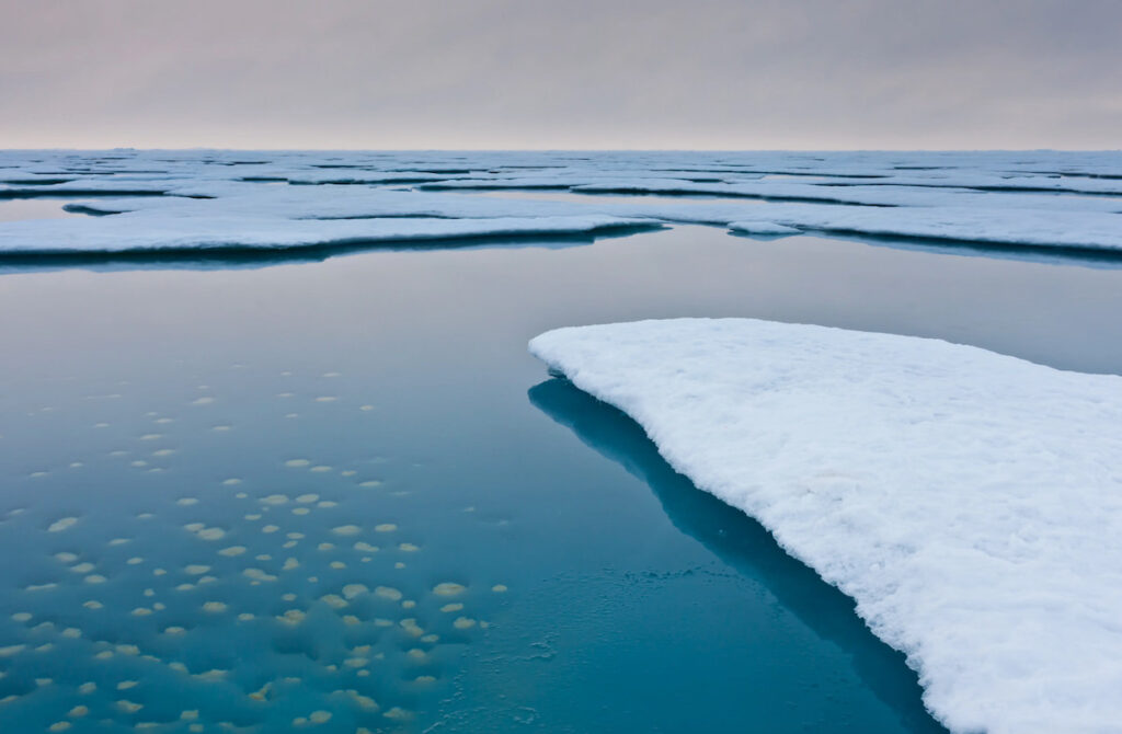 Arctic Sea Ice