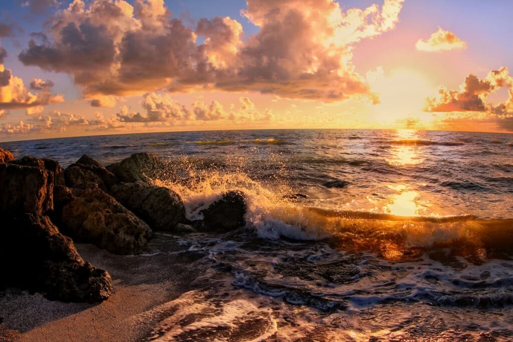 Ocean Wave Carbon Storing