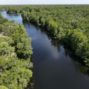 Fingerprinting the Source of Nitrogen Pollution in Tampa Bay