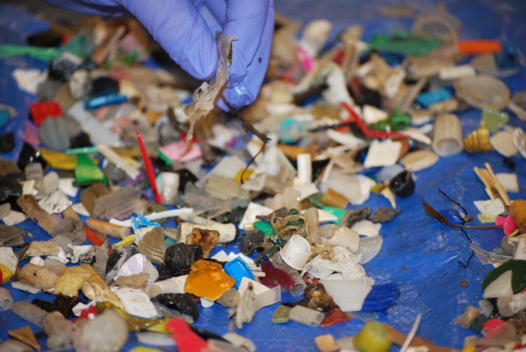 The Truth About Plastic Fragments