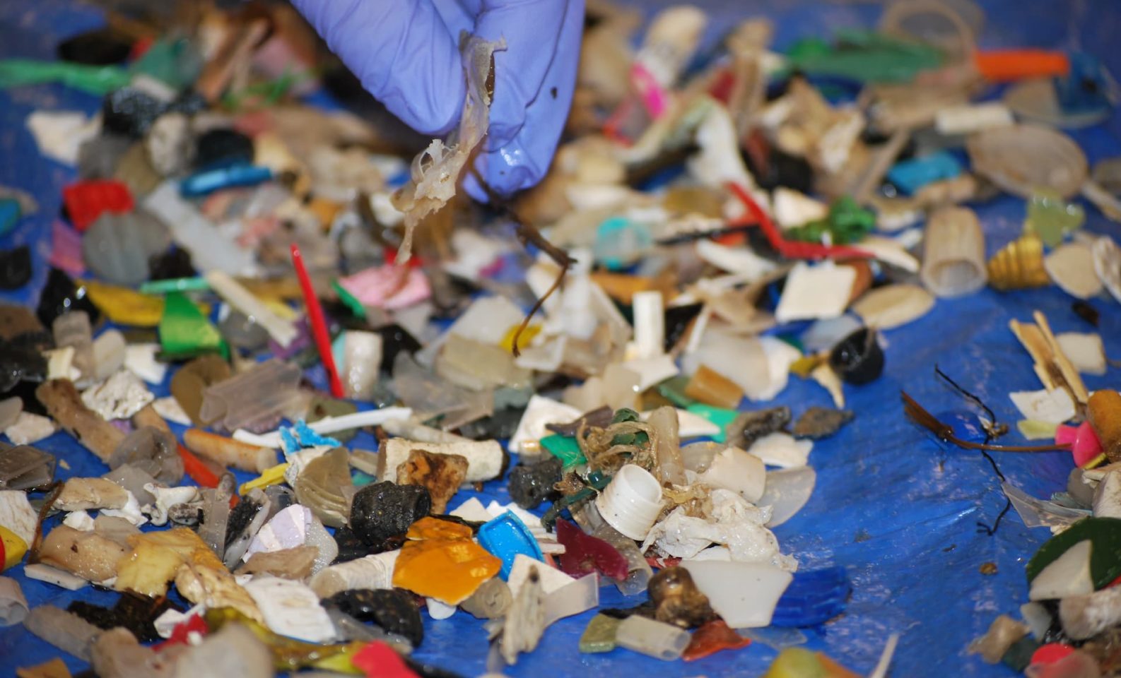 Plastic Fragments
