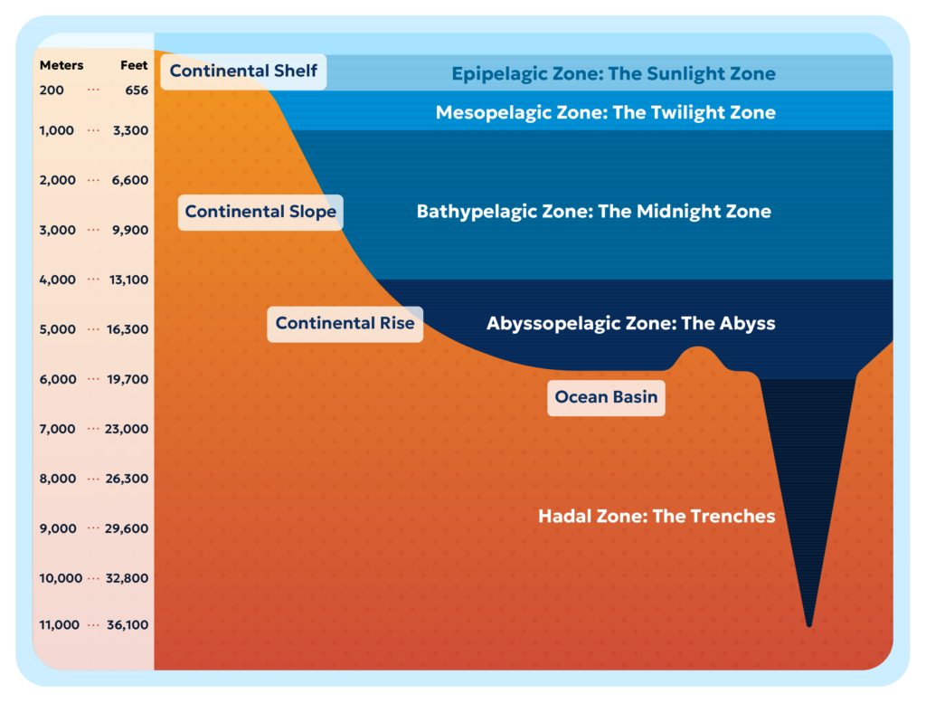 An illustration of the zones of the ocean floor, depicting depth in meters/feet on the left and the layers from light blue to dark blue and orange, listed as follows: Continental Shelf (Epipelagic Zone: The Sunlight Zone; Mesopelagic Zone: The Twilight Zone), Continental Slope (Bathypelagic Zone: The Midnight Zone); Continental Rise (Abyssopelagic Zone: The Abyss), Ocean Basin, Hadal Zone: The Trenches.