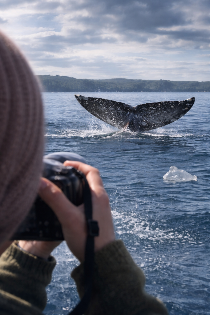 The fluke of a tail is going back under the water as a photographer attempts to catch the perfect shot.