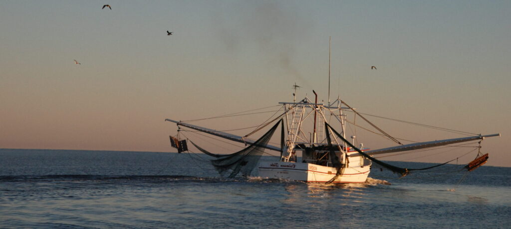 Fishing boats on the water at Bayou La Batre, AL in the gulf of mexico