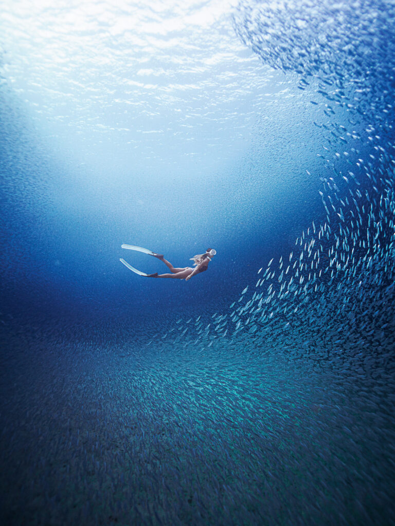 Another silver ocean lay hidden beneath.\nWrapped in its shimmering light, a mermaid gracefully swam within.