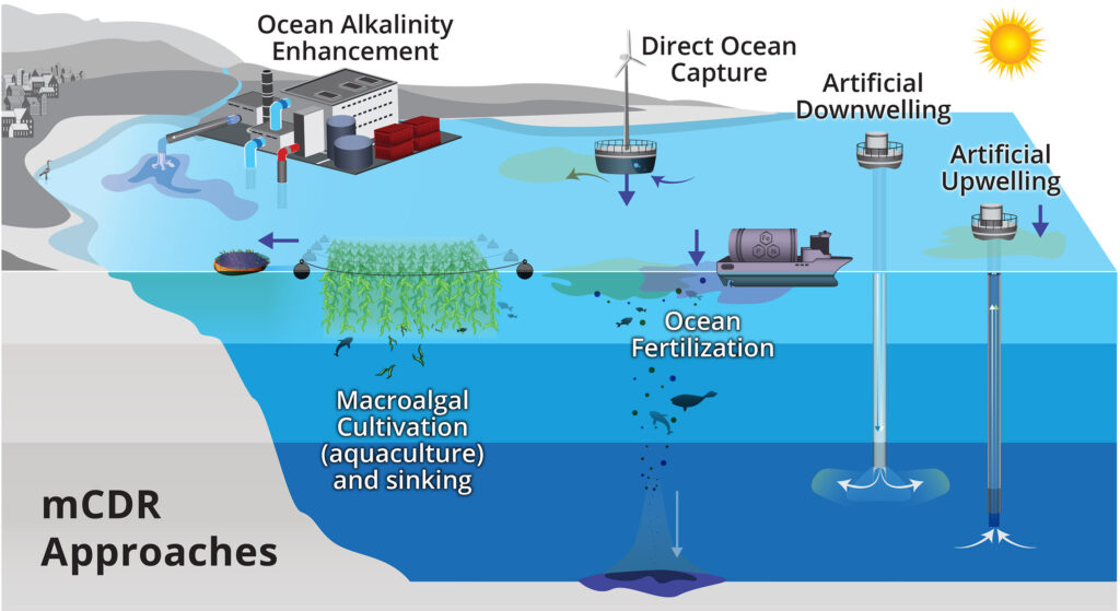 Infographic visualizing the process of marine carbon dioxide removal approaches
